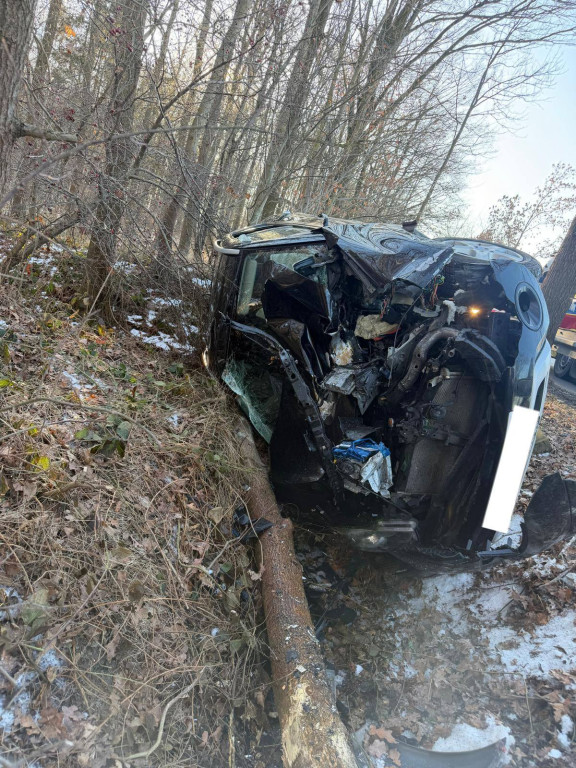 Renault uderzyło w drzewo