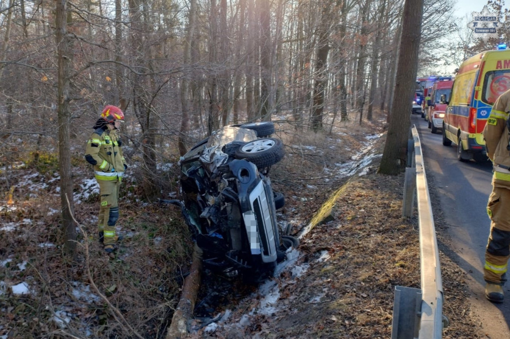 Renault uderzyło w drzewo