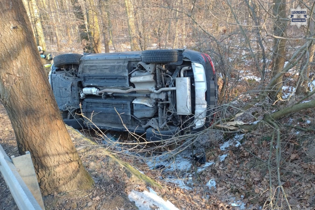 Renault uderzyło w drzewo