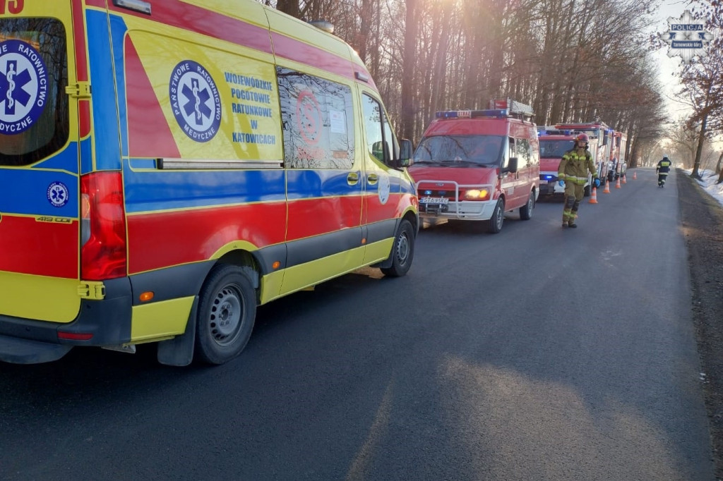 Renault uderzyło w drzewo