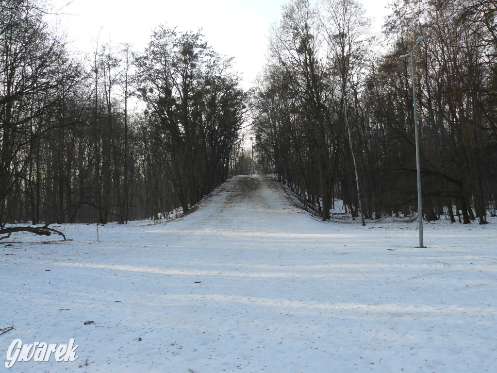 Górka saneczkowa w Parku Miejskim do odnowienia