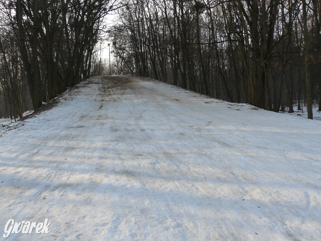 Górka saneczkowa w Parku Miejskim do odnowienia