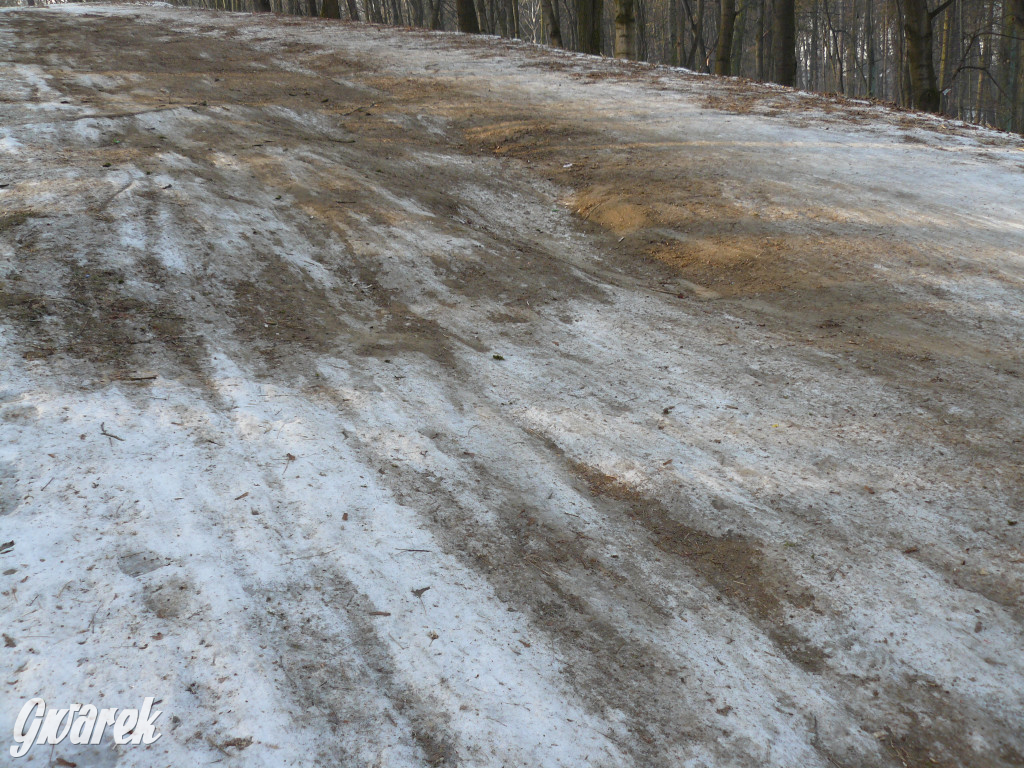 Górka saneczkowa w Parku Miejskim do odnowienia