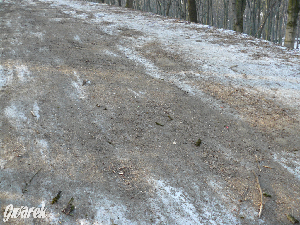 Górka saneczkowa w Parku Miejskim do odnowienia