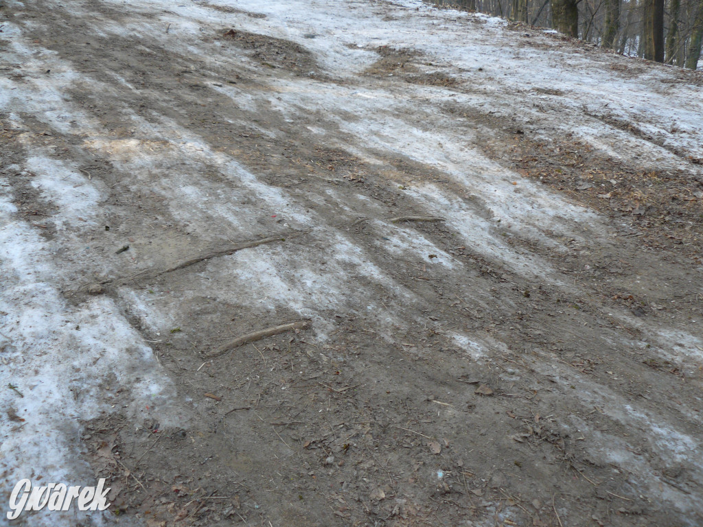 Górka saneczkowa w Parku Miejskim do odnowienia