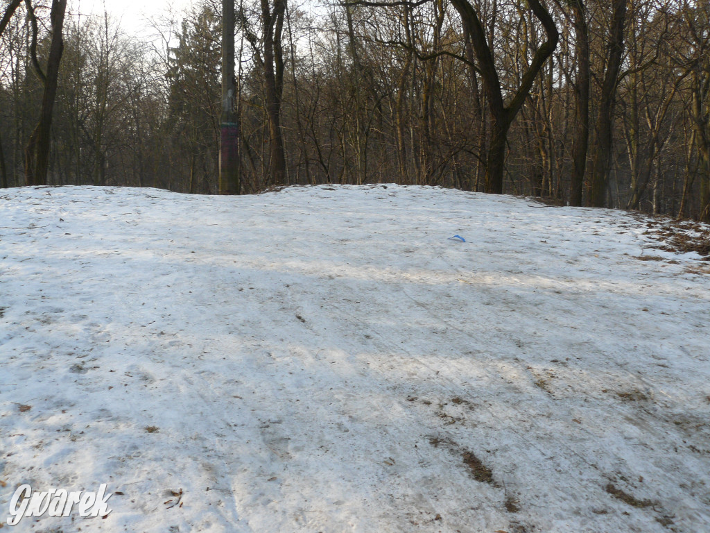 Górka saneczkowa w Parku Miejskim do odnowienia