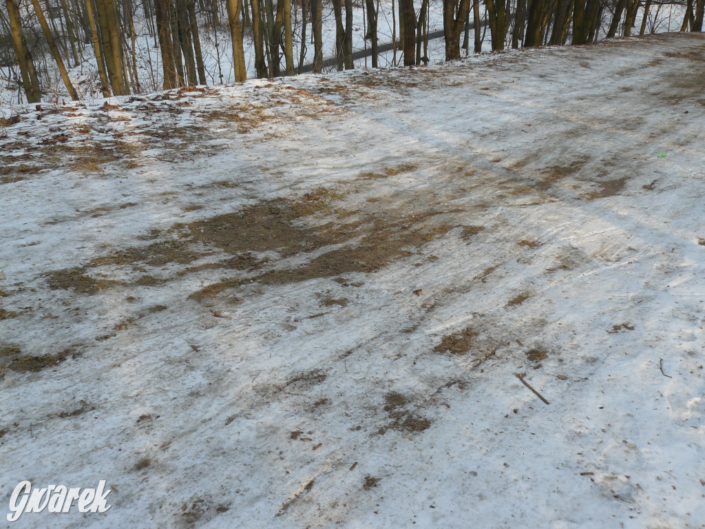 Górka saneczkowa w Parku Miejskim do odnowienia