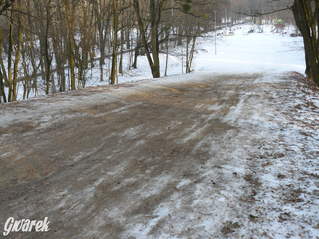 Górka saneczkowa w Parku Miejskim do odnowienia