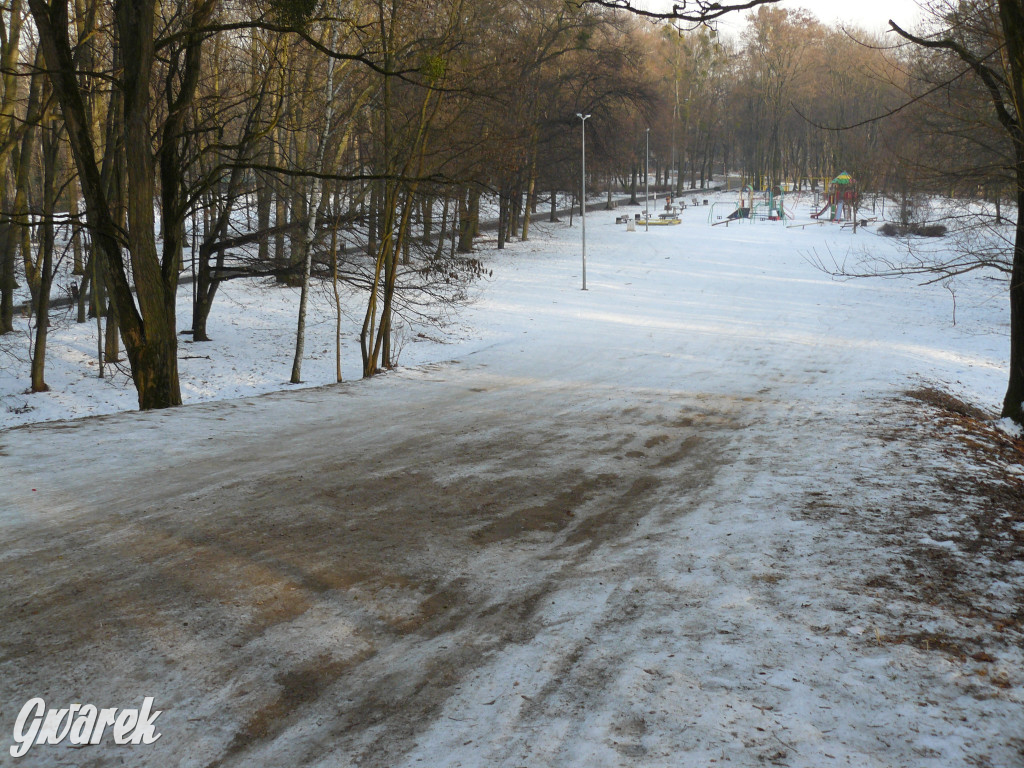 Górka saneczkowa w Parku Miejskim do odnowienia