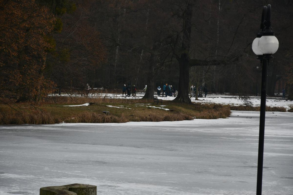 Świerklaniec. Kolorowy III Bieg w Śmiesznym Przebraniu
