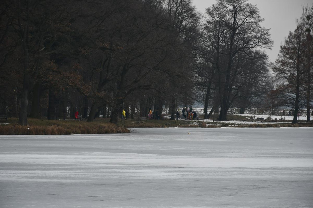 Świerklaniec. Kolorowy III Bieg w Śmiesznym Przebraniu