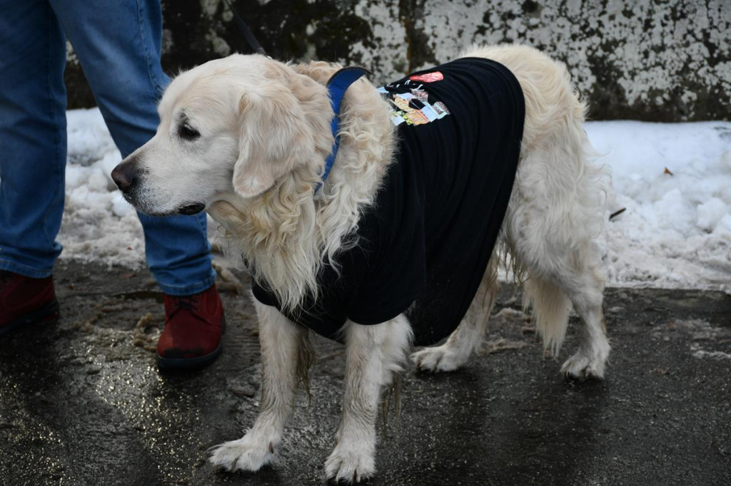 Świerklaniec. Kolorowy III Bieg w Śmiesznym Przebraniu