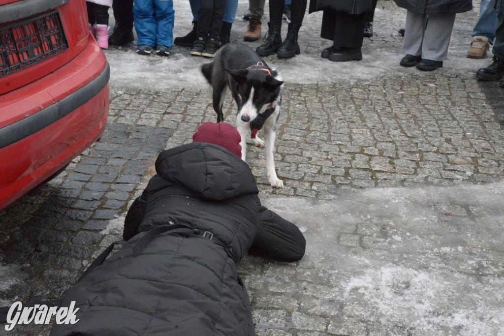 Trwa finał WOŚP  w Tarnowskich Górach