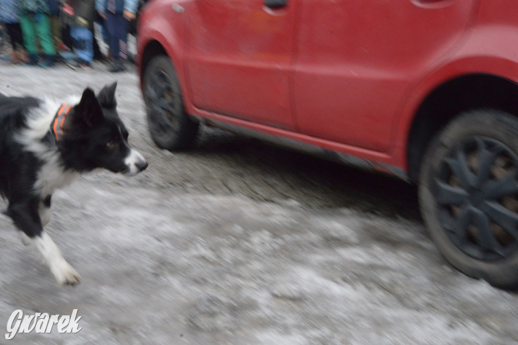 Trwa finał WOŚP  w Tarnowskich Górach