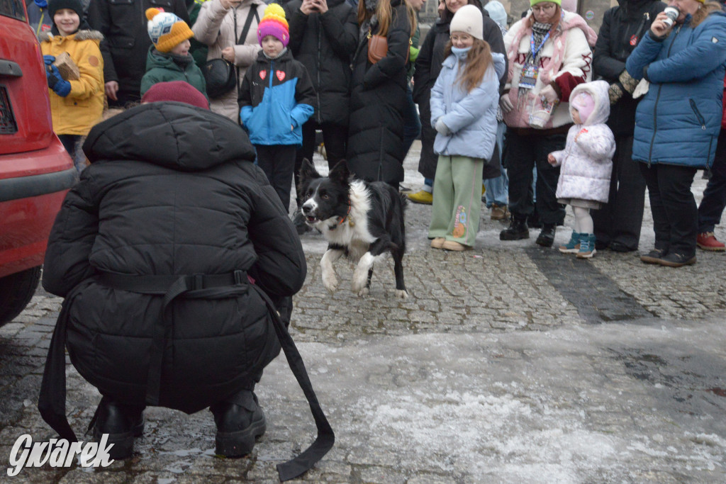 Trwa finał WOŚP  w Tarnowskich Górach