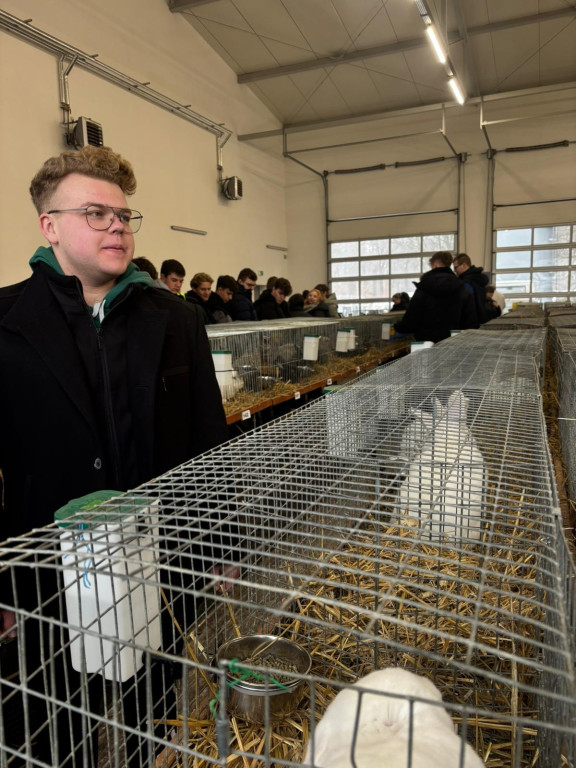 Ponad 300 królików i ogólnopolska konferencja