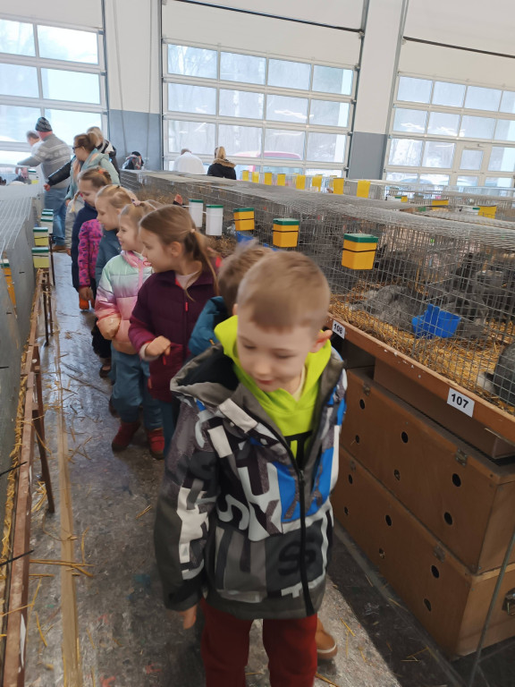 Ponad 300 królików i ogólnopolska konferencja