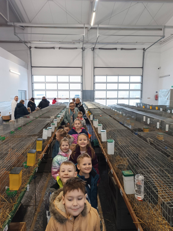 Ponad 300 królików i ogólnopolska konferencja