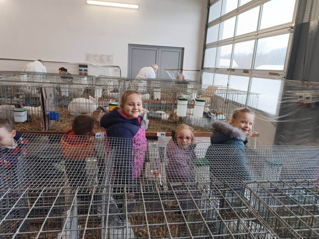 Ponad 300 królików i ogólnopolska konferencja