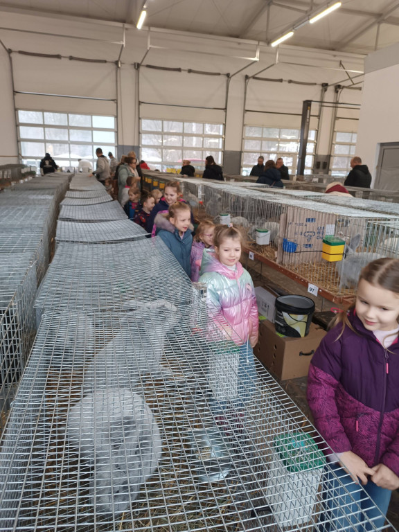 Ponad 300 królików i ogólnopolska konferencja