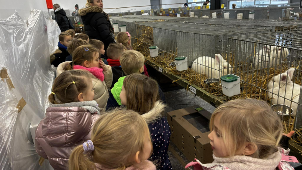 Ponad 300 królików i ogólnopolska konferencja