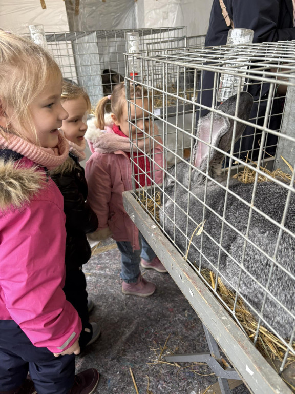 Ponad 300 królików i ogólnopolska konferencja