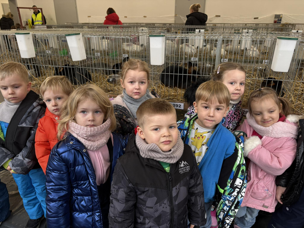 Ponad 300 królików i ogólnopolska konferencja