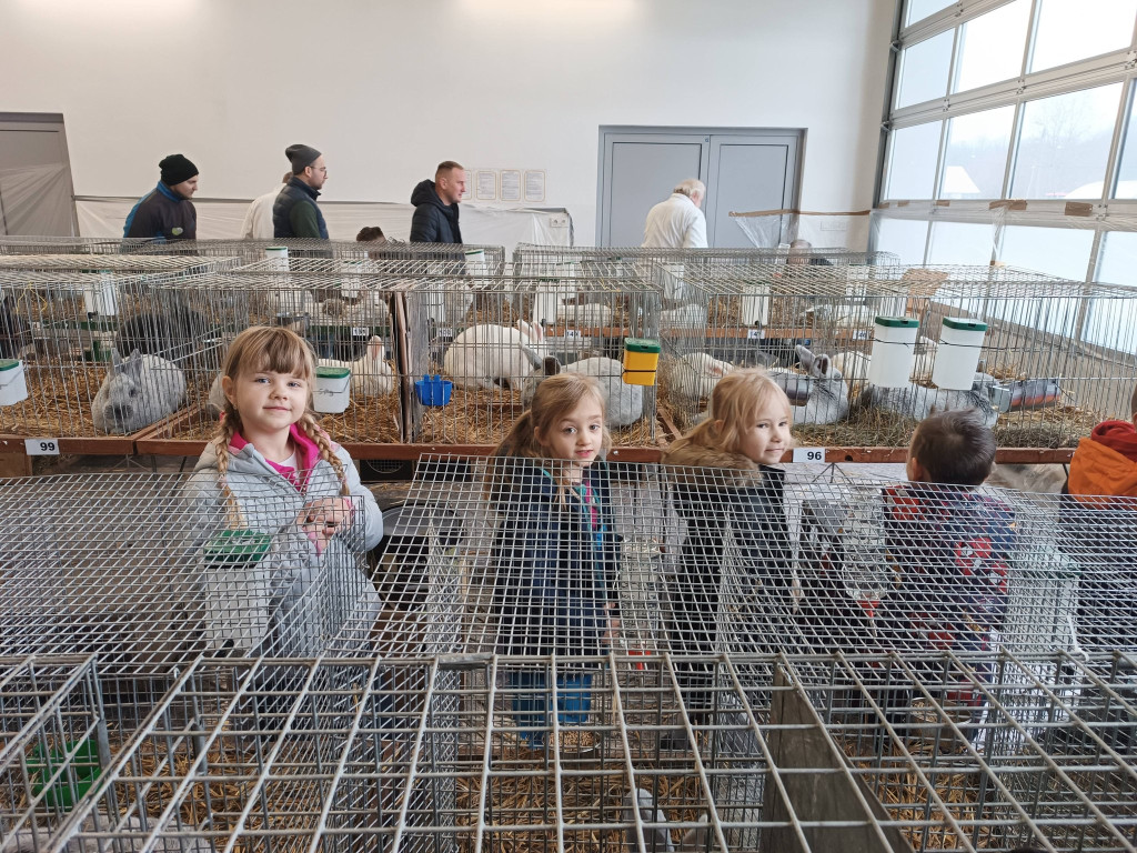 Ponad 300 królików i ogólnopolska konferencja