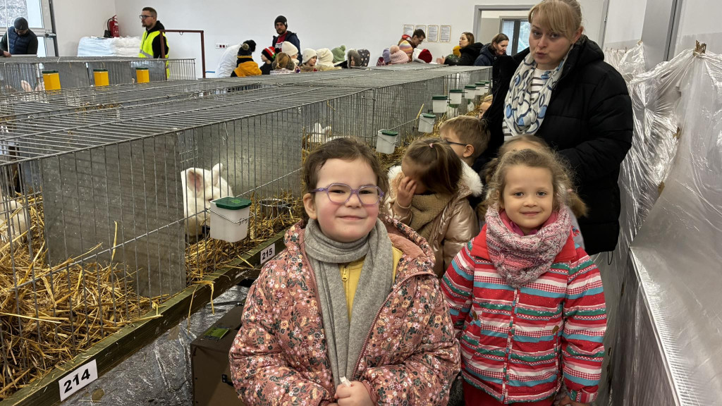 Ponad 300 królików i ogólnopolska konferencja