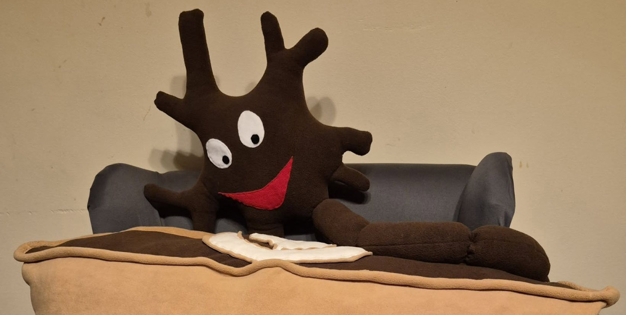 Nauczyciele dla WOŚP i pluszowa, neuronowa kawa