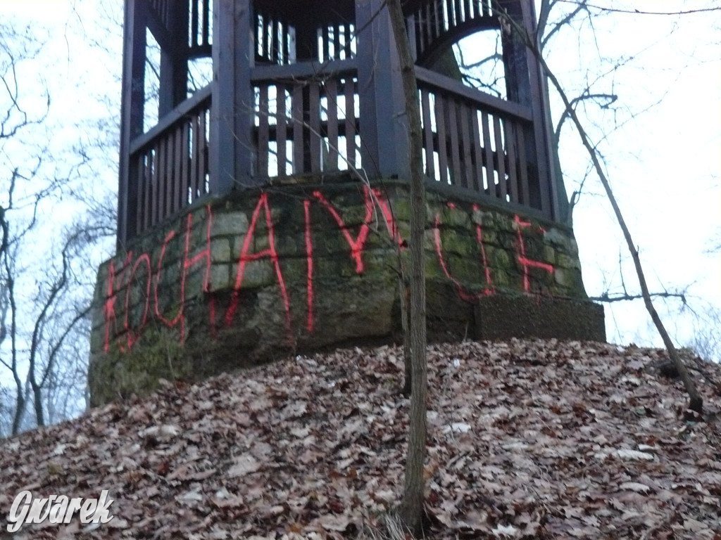 Wandalizm w Parku Miejskim. Słaby ten romantyzm