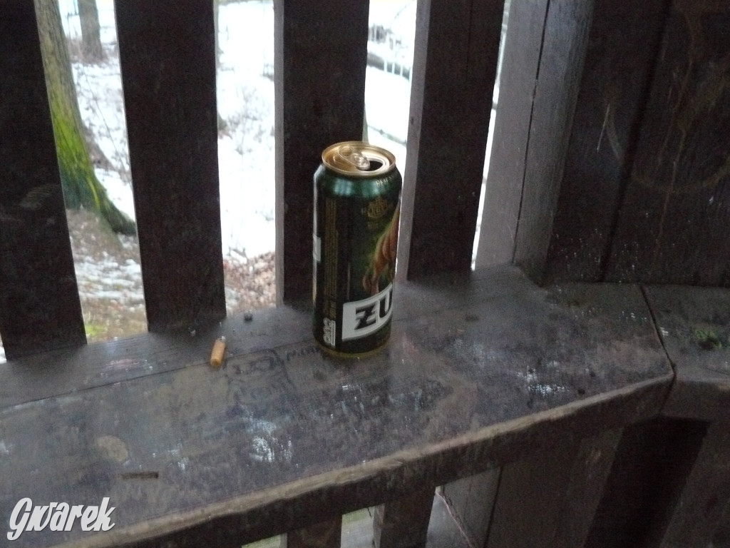 Wandalizm w Parku Miejskim. Słaby ten romantyzm