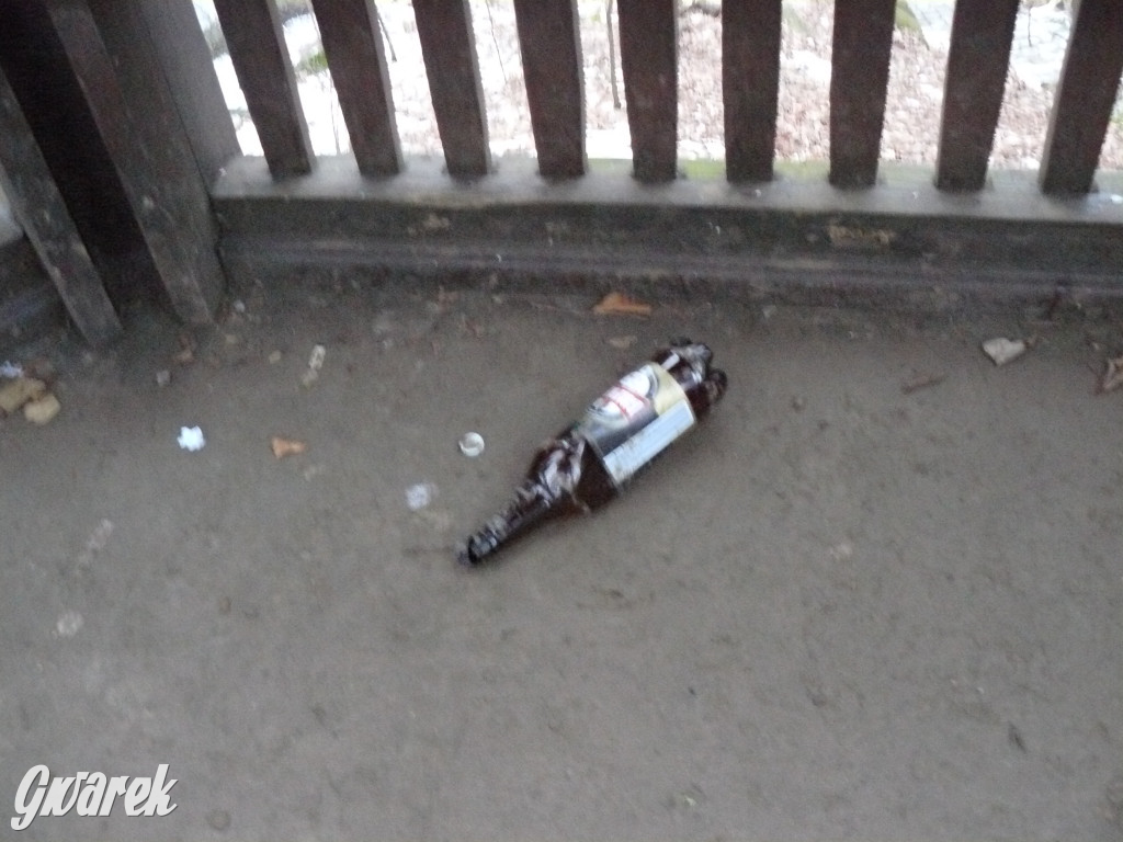 Wandalizm w Parku Miejskim. Słaby ten romantyzm