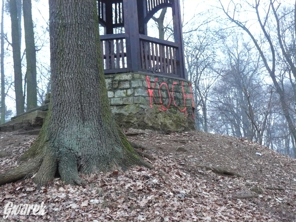 Wandalizm w Parku Miejskim. Słaby ten romantyzm