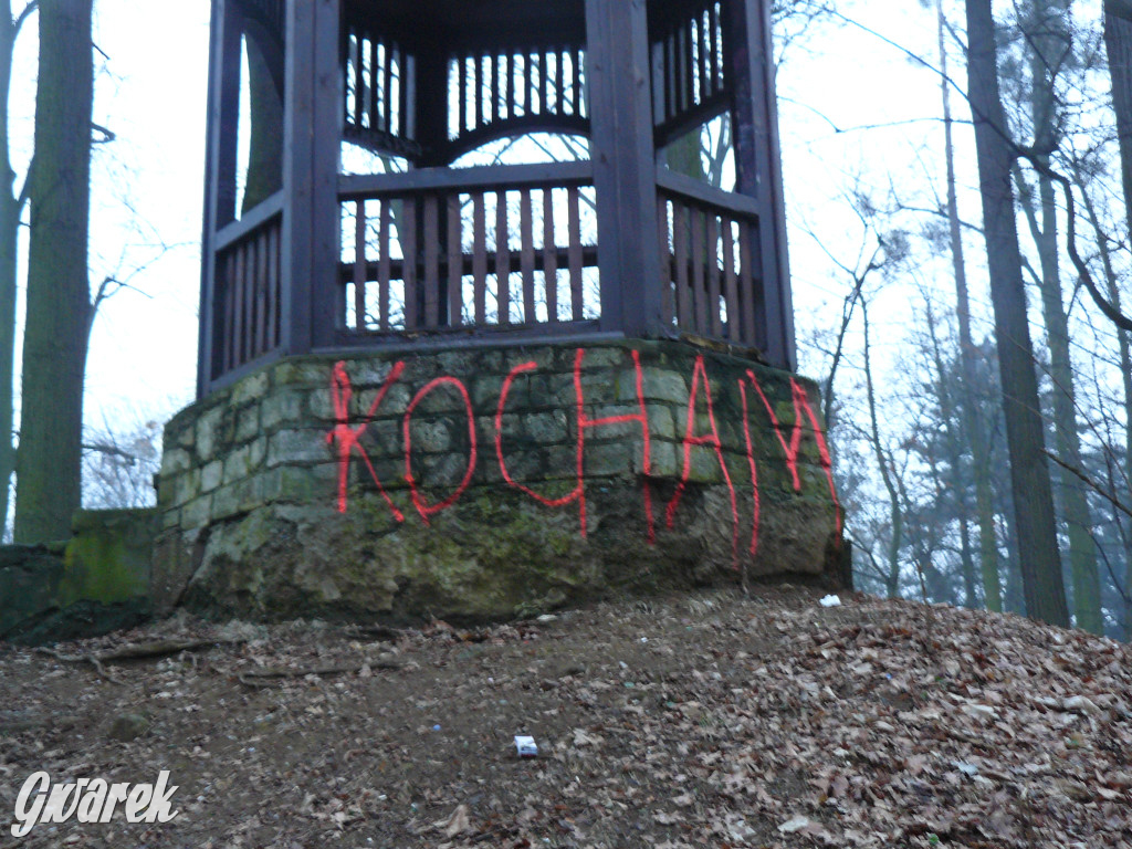 Wandalizm w Parku Miejskim. Słaby ten romantyzm