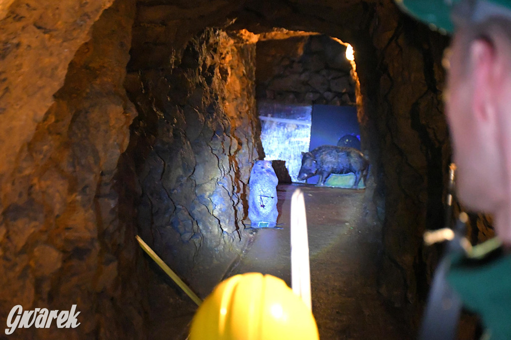 Historyczna „łucznicza szychta”. Zawody w kopalni srebra