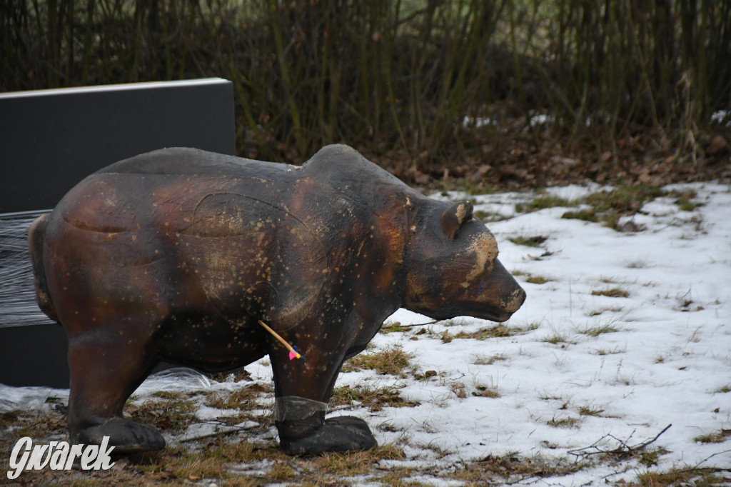 Historyczna „łucznicza szychta”. Zawody w kopalni srebra