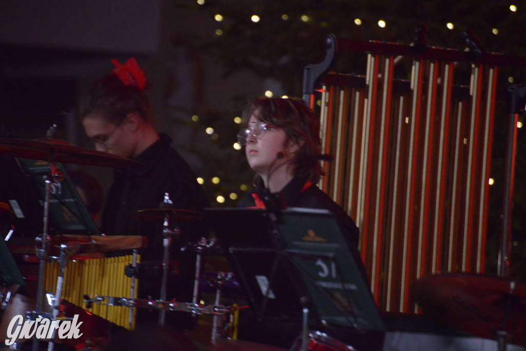 Muzyczny hołd dla Tarnowskich Gór. Piękny koncert