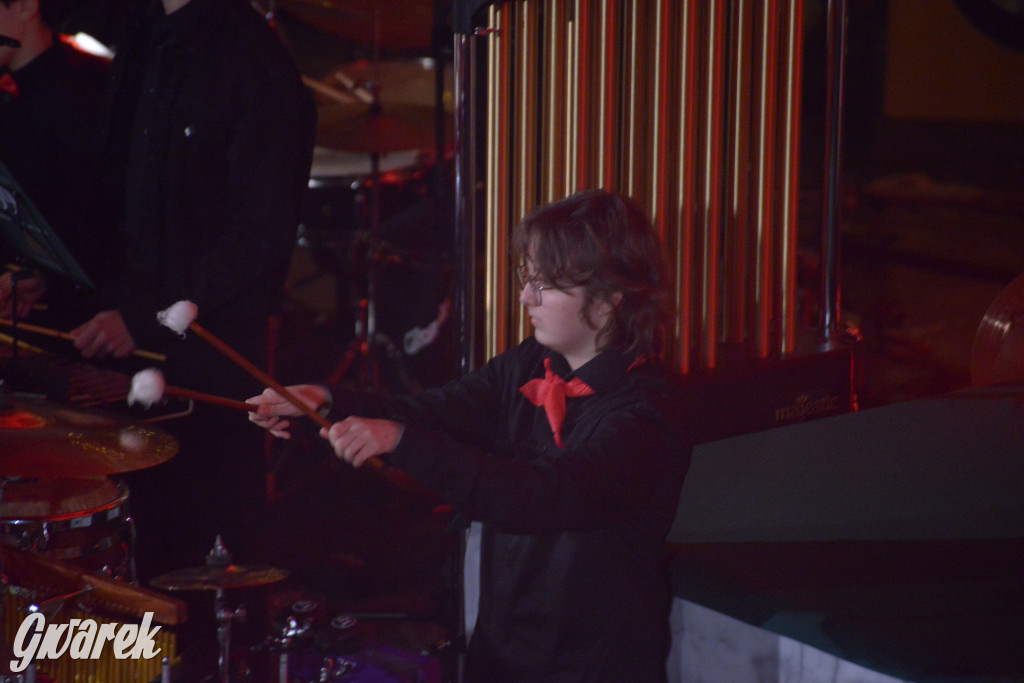 Muzyczny hołd dla Tarnowskich Gór. Piękny koncert