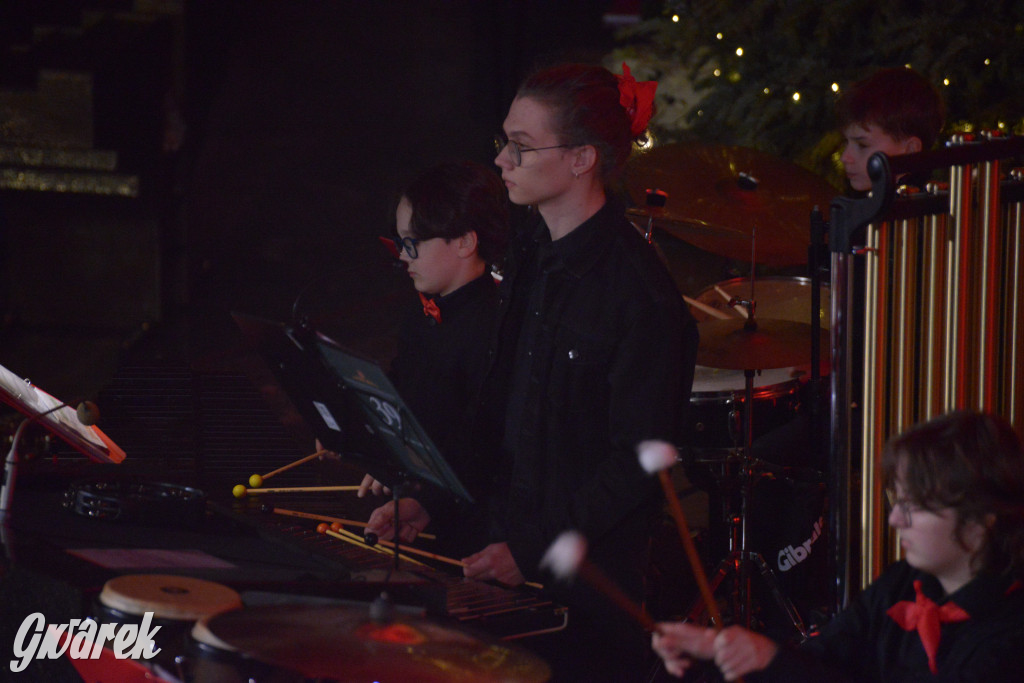 Muzyczny hołd dla Tarnowskich Gór. Piękny koncert