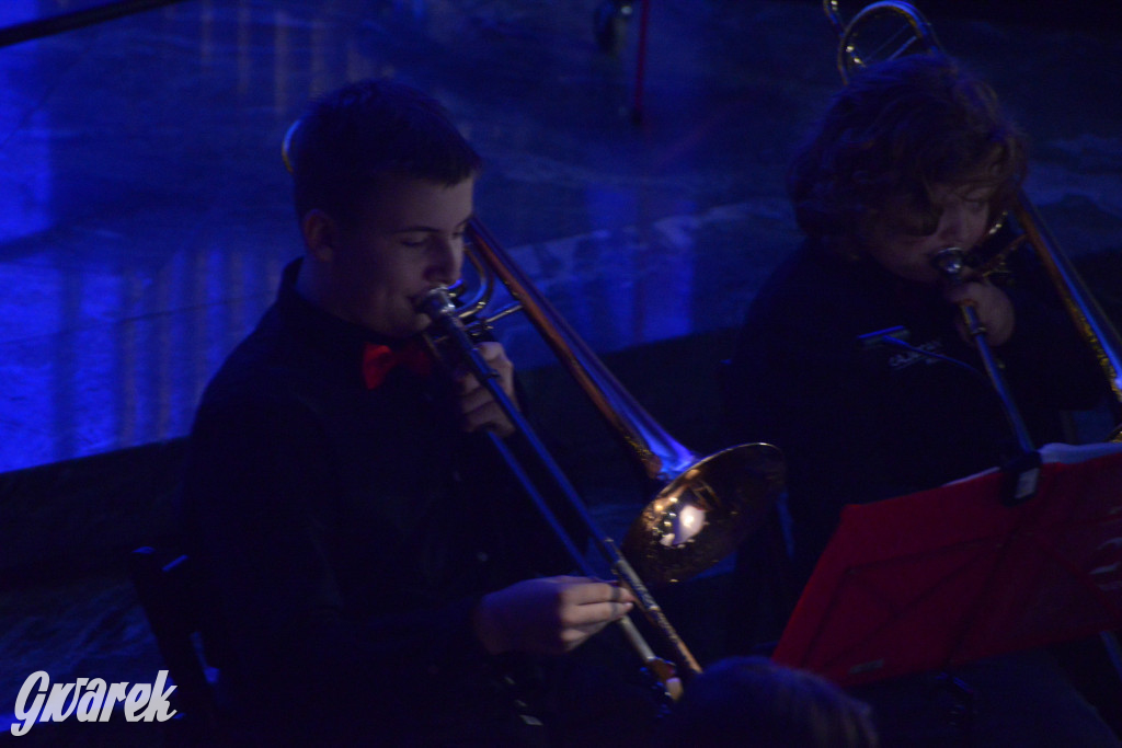 Muzyczny hołd dla Tarnowskich Gór. Piękny koncert