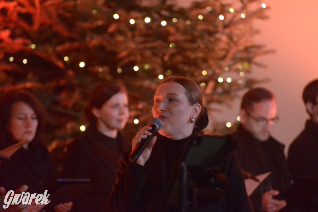 Muzyczny hołd dla Tarnowskich Gór. Piękny koncert