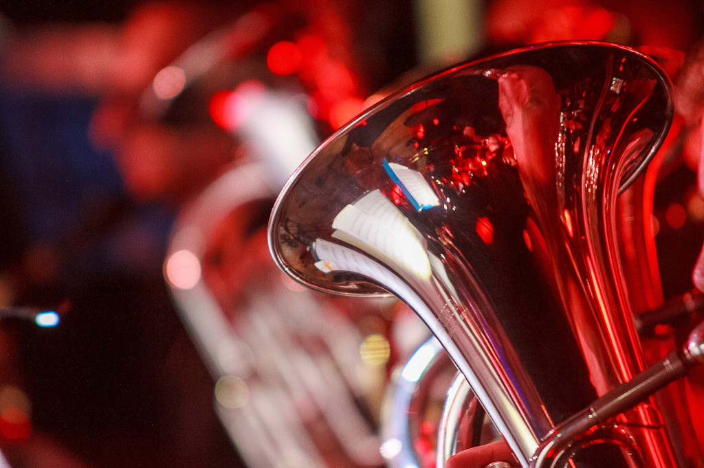 Nasza orkiestra w obiektywie Światłoczułych