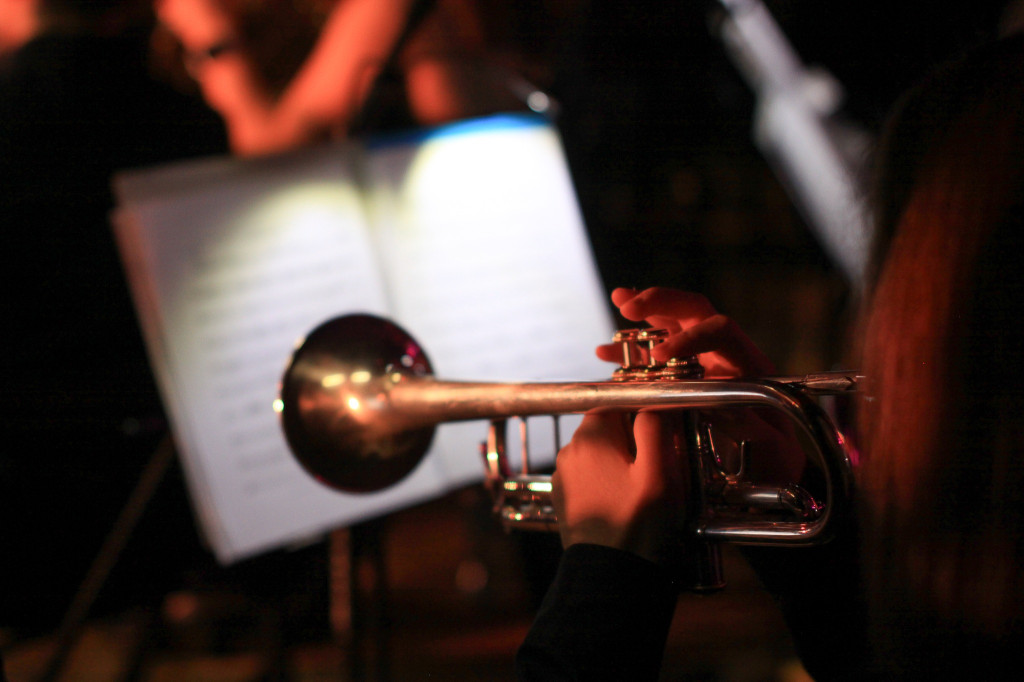 Nasza orkiestra w obiektywie Światłoczułych