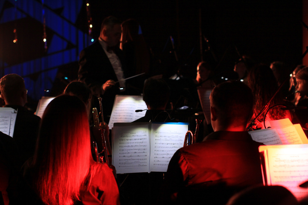 Nasza orkiestra w obiektywie Światłoczułych