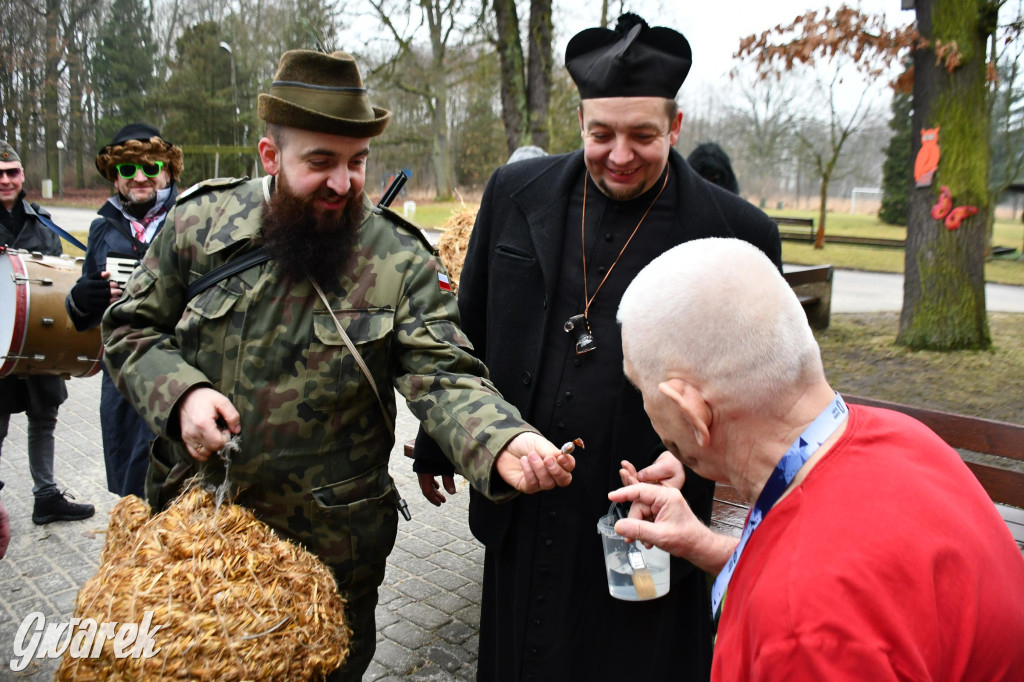Z berem przez Miedary. Wodzenie niedźwiedzia 2026