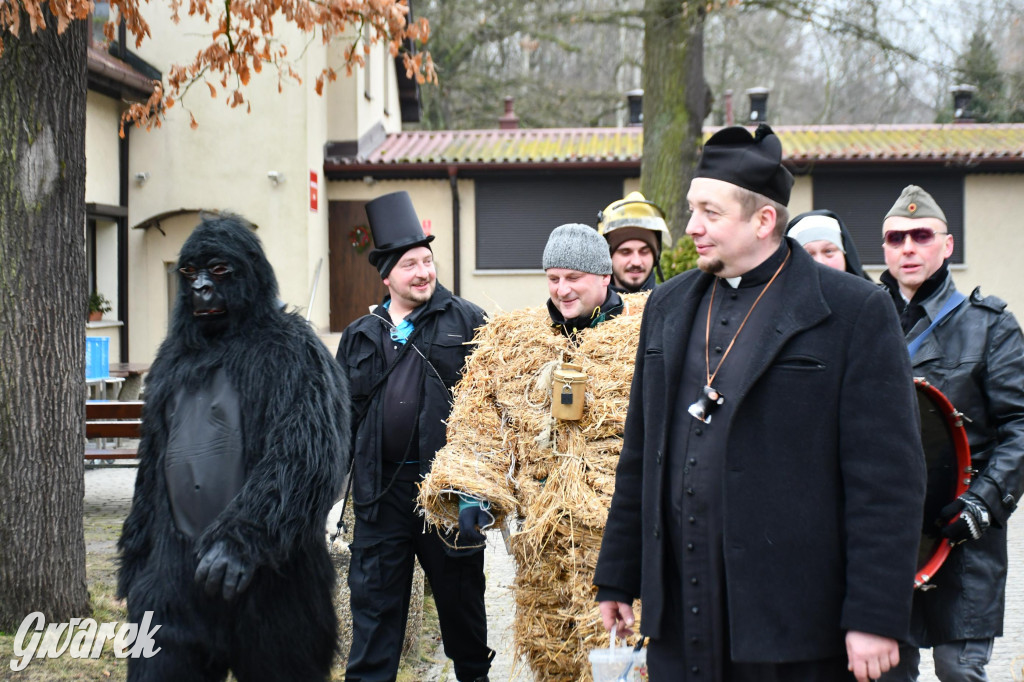 Z berem przez Miedary. Wodzenie niedźwiedzia 2026