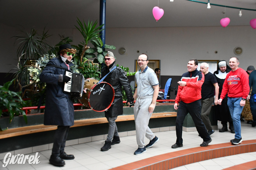 Z berem przez Miedary. Wodzenie niedźwiedzia 2026