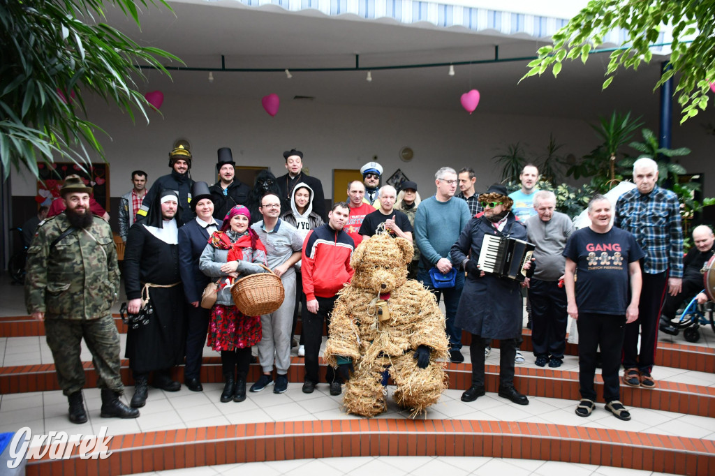 Z berem przez Miedary. Wodzenie niedźwiedzia 2026