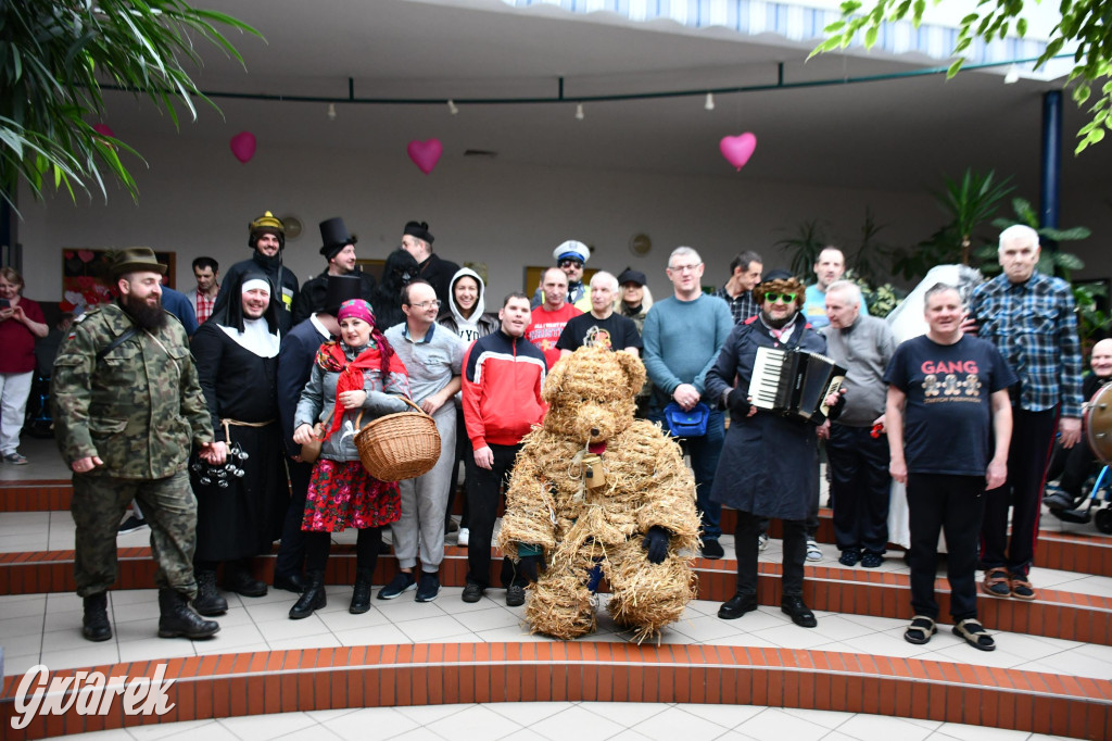 Z berem przez Miedary. Wodzenie niedźwiedzia 2026